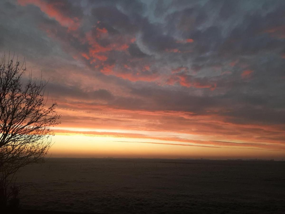 Glamping De Vrije Wind, Tentverhuur Houwerzijl Bagian luar foto
