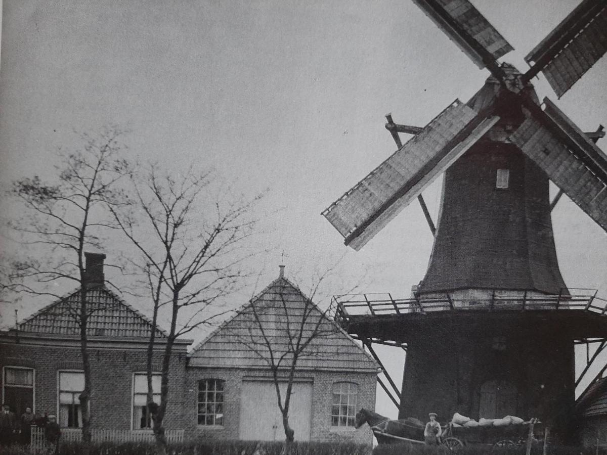 Glamping De Vrije Wind, Tentverhuur Houwerzijl Bagian luar foto
